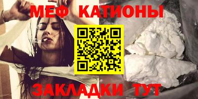 гашик Кингисепп