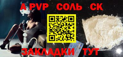гашик Кингисепп
