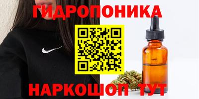 бошки Кимры