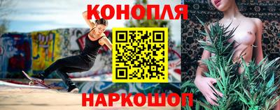 гашик Кингисепп