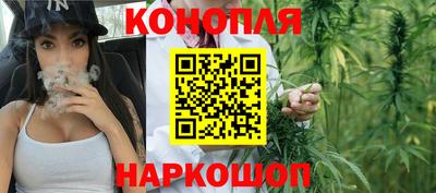 бошки Кимры