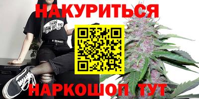 гашик Кингисепп