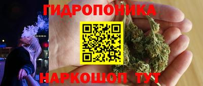 бошки Кимры
