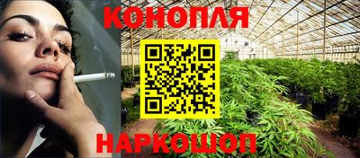 гашик Кингисепп
