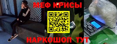 гашик Кингисепп