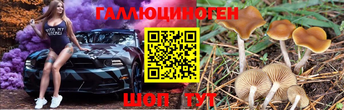Псилоцибиновые грибы GOLDEN TEACHER Кропоткин